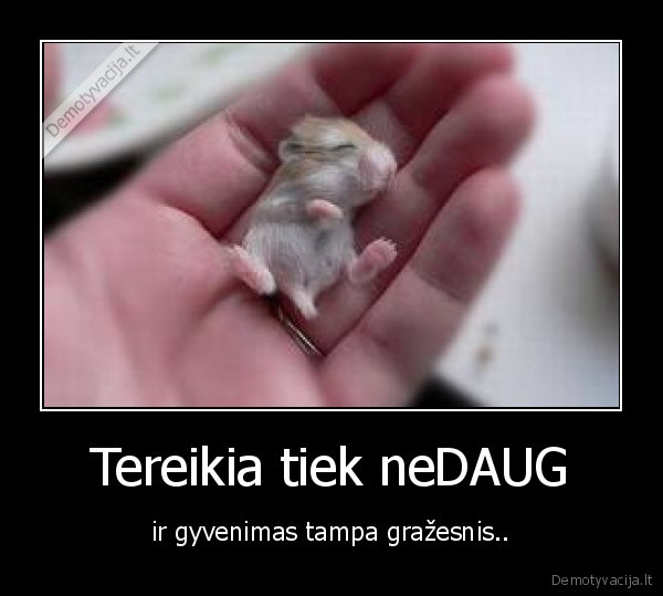 Tereikia tiek neDAUG