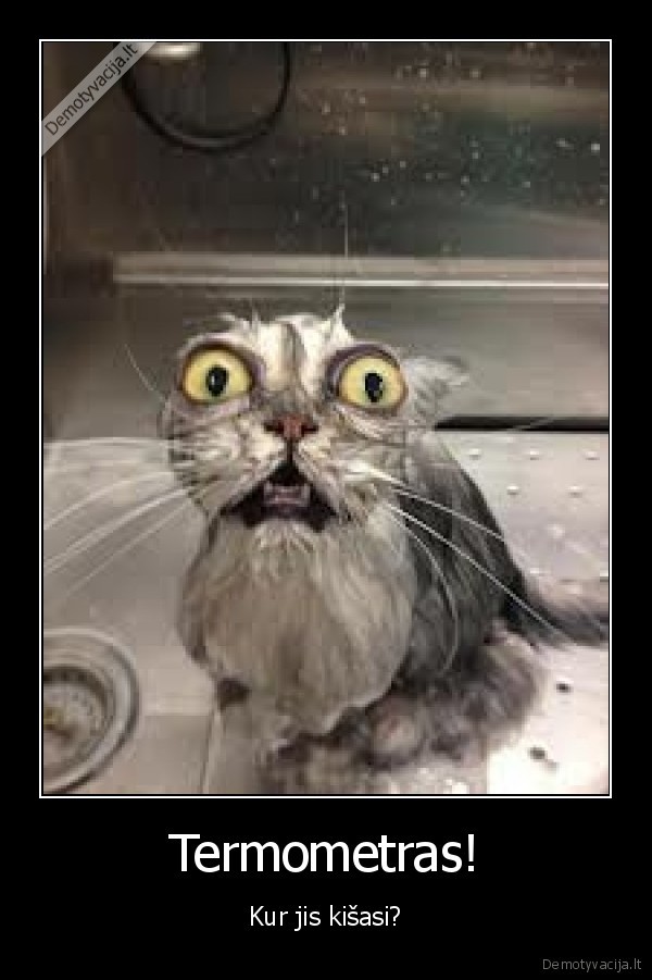 gyvunai,termomentas,kancia
