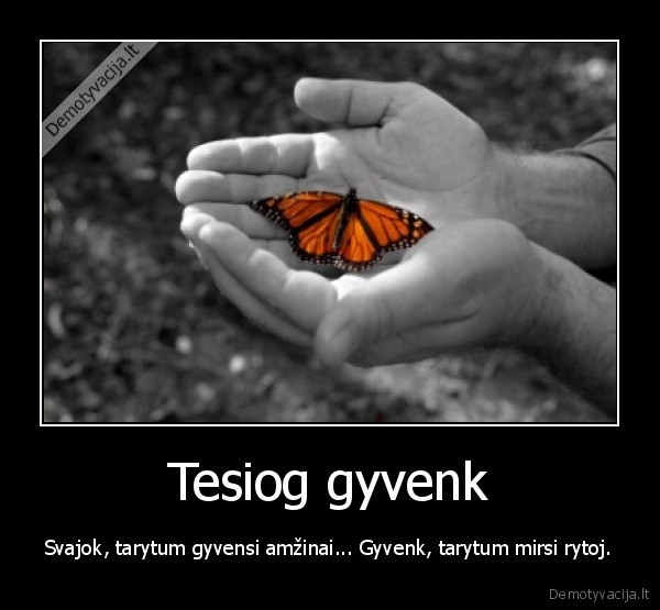 gyventi,svajoti,amzinai