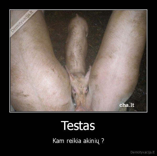 akiniai, testas