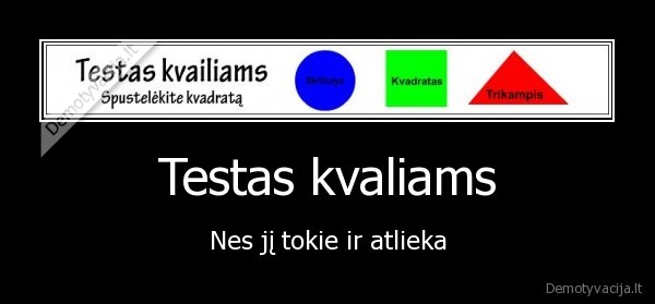 Testas kvaliams