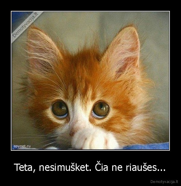 Teta, nesimušket. Čia ne riaušes...