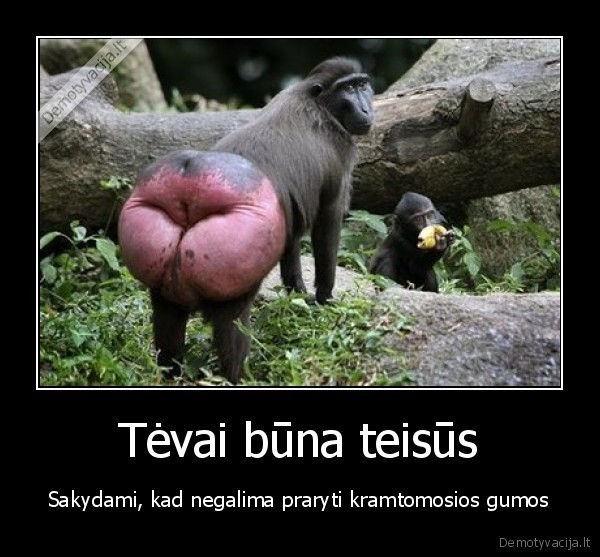 Tėvai būna teisūs