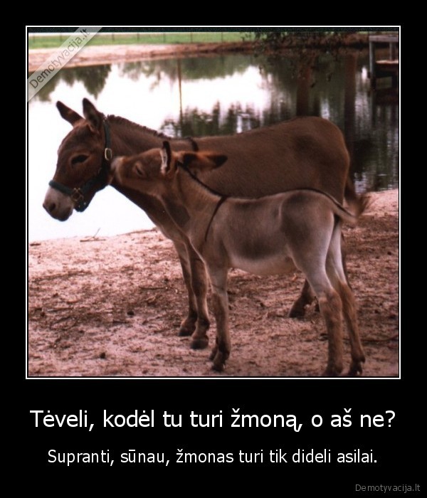 Tėveli, kodėl tu turi žmoną, o aš ne?