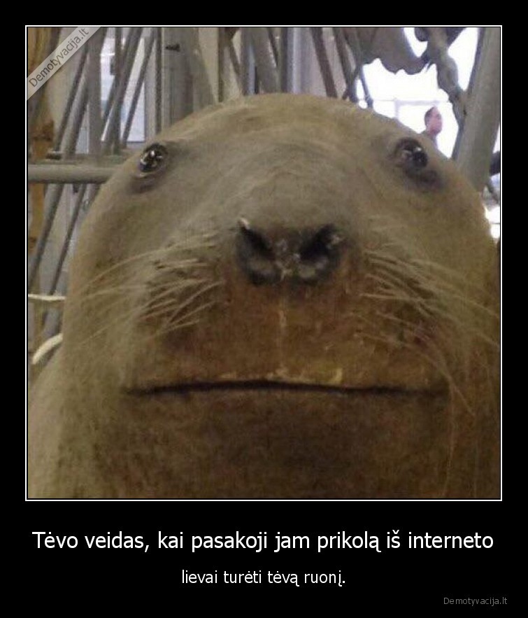 ruonis,tevas,veidas,prikolai