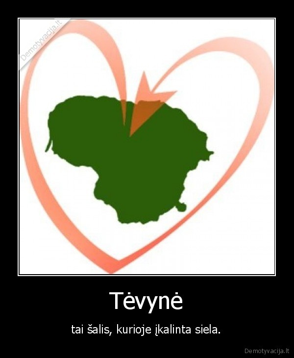 tik, kai, toje, tevyneje, gyvena, kubilius, tai, nafik