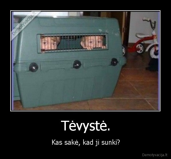 tevyste,sunki, tevyste,nesunki, tevyste