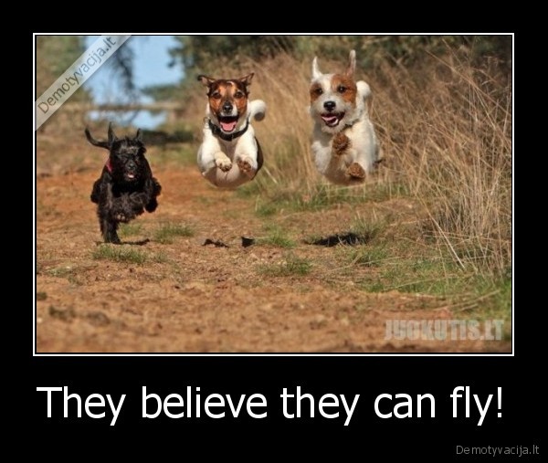 They believe they can fly!