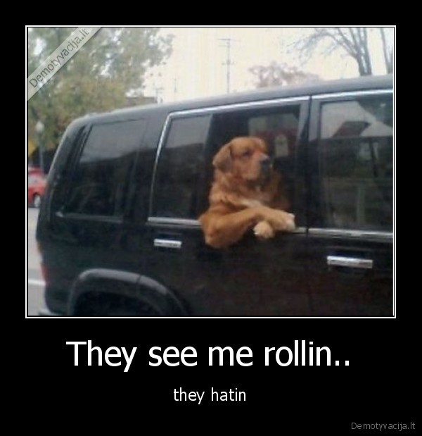 They see me rollin..