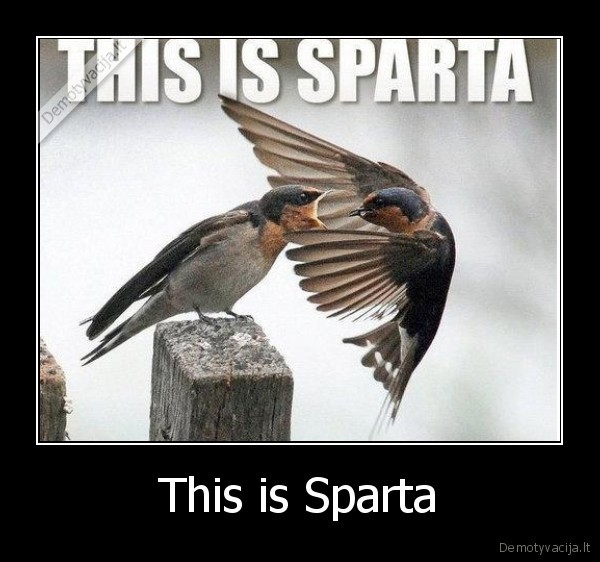 This is Sparta