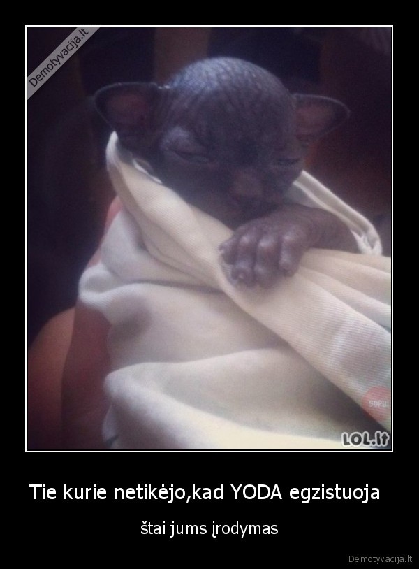 Tie kurie netikėjo,kad YODA egzistuoja 