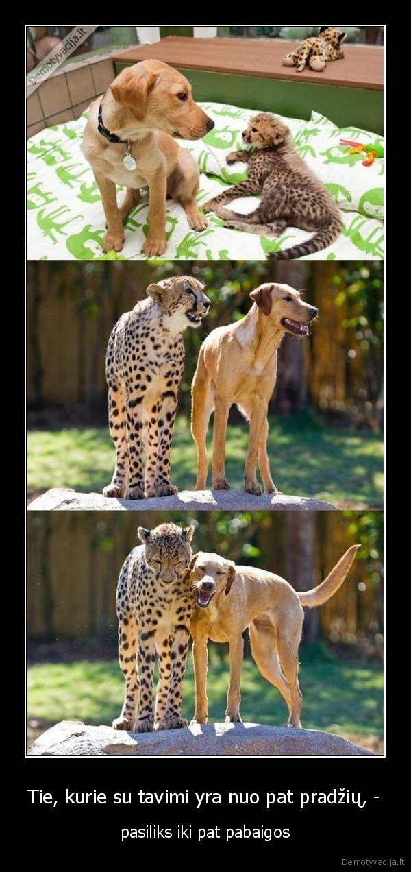 vaikyste, draugyste, santykiai, geriausi, draugai