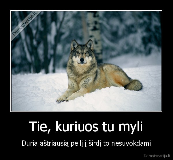 Tie, kuriuos tu myli