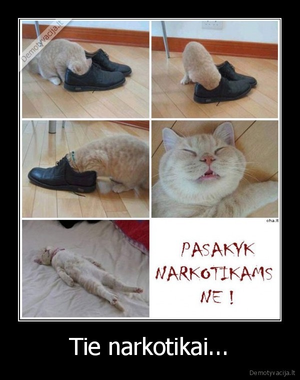 Tie narkotikai...