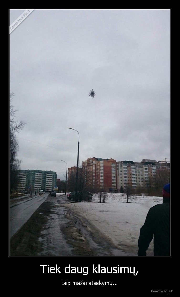 eglute,skraido,klausimas,atsakymas