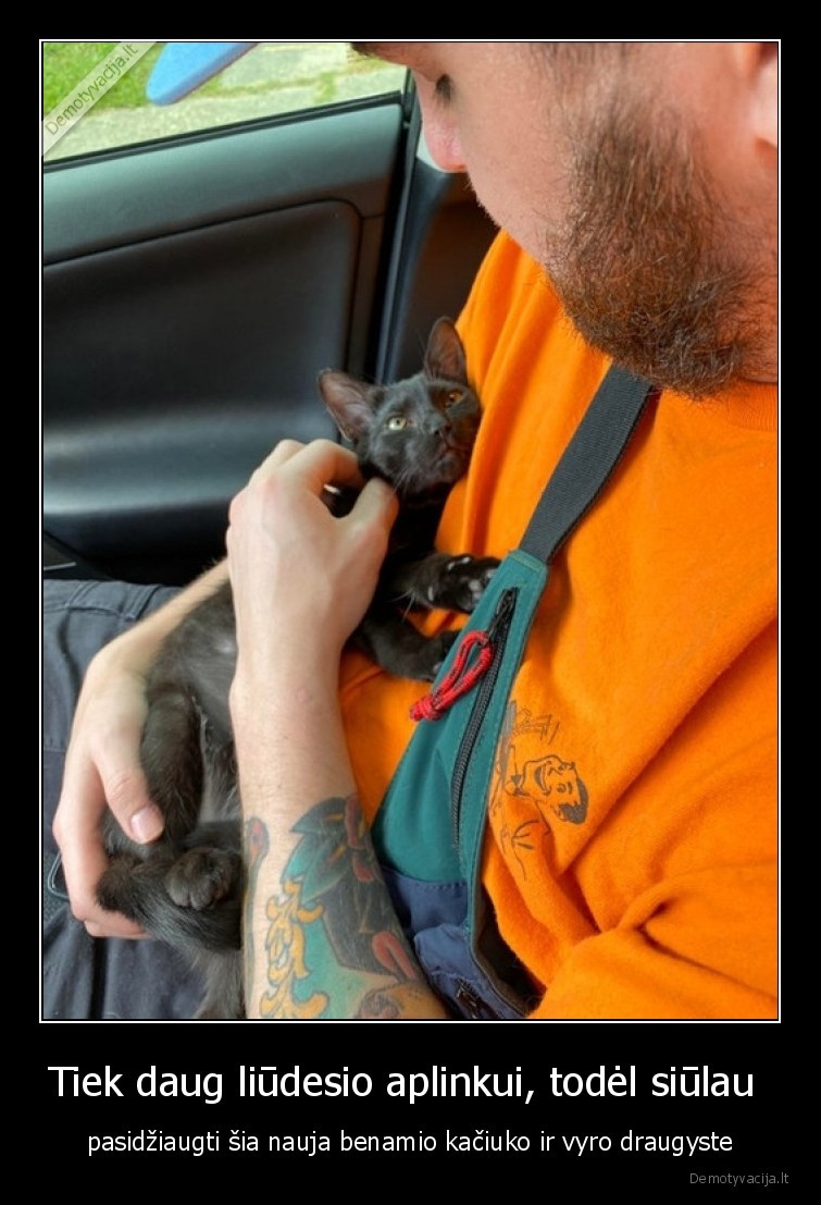 draugyste,benamis,katinas