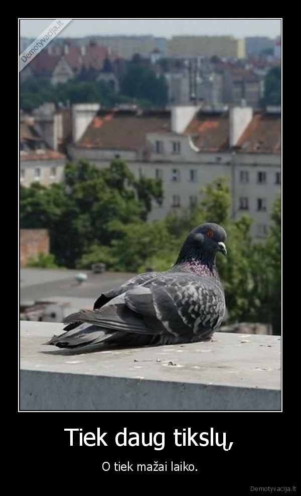 daug,tikslu,mazai,laiko