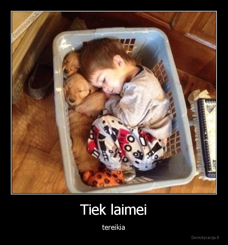 laime,vaikas,suniukai,krepsys