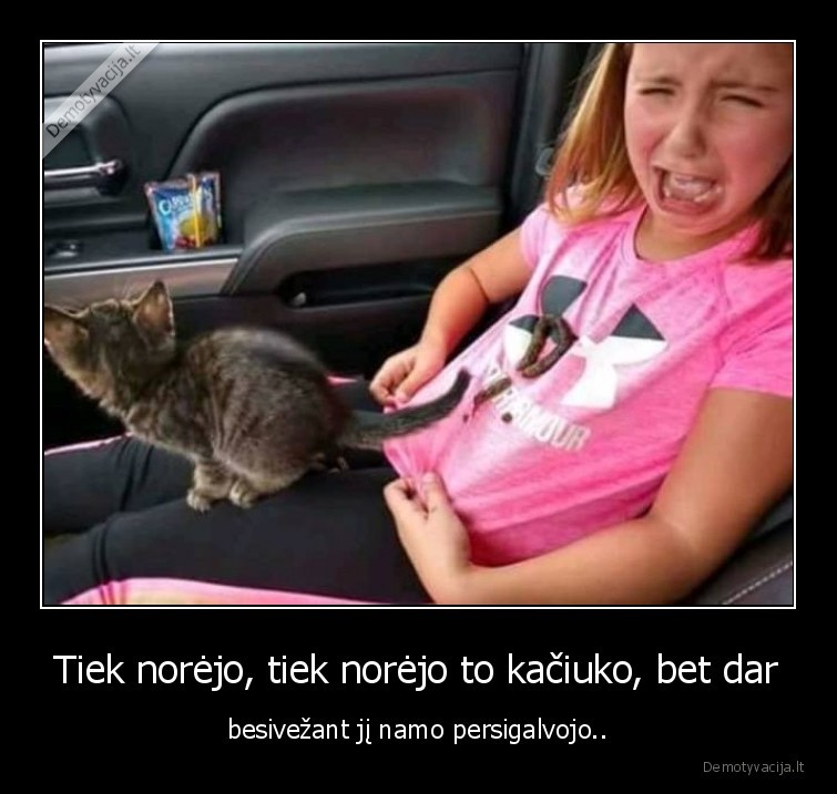 mergaite,kaciukas,kates,sudas