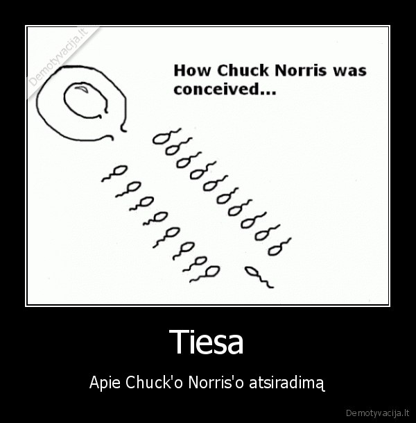 chuck, norris,chuckas, norrisas,tiesa