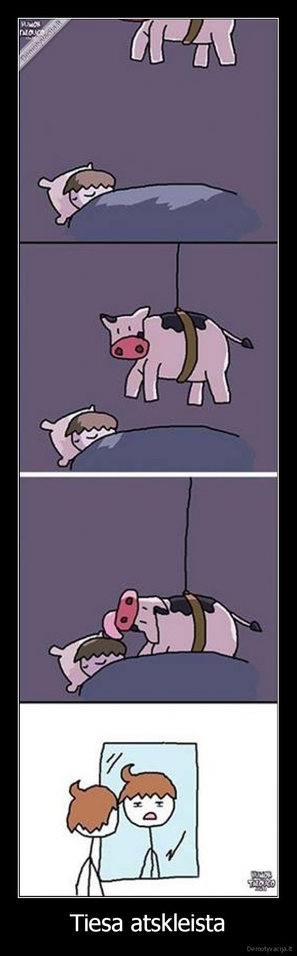 stacias, plaukas,karvute,miegas