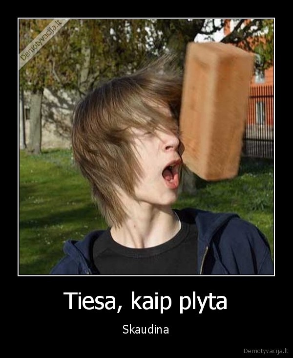 Tiesa, kaip plyta