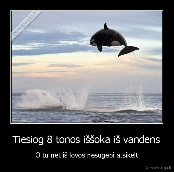 motyvacija,orka,suolis