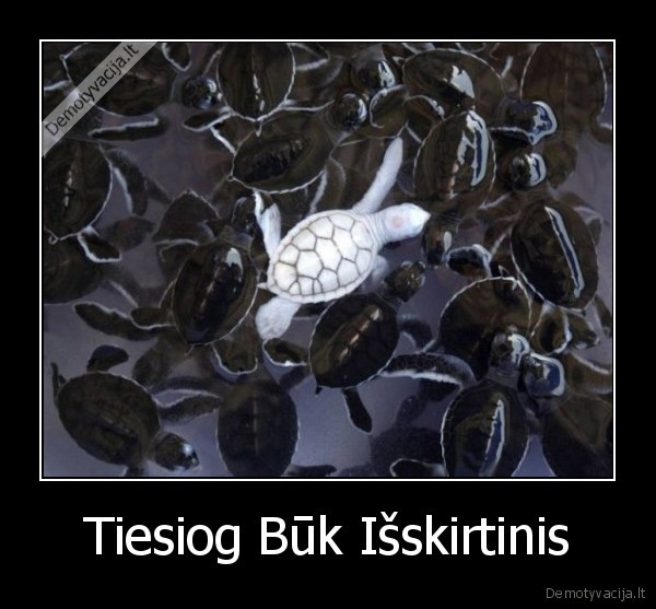 Tiesiog Būk Išskirtinis