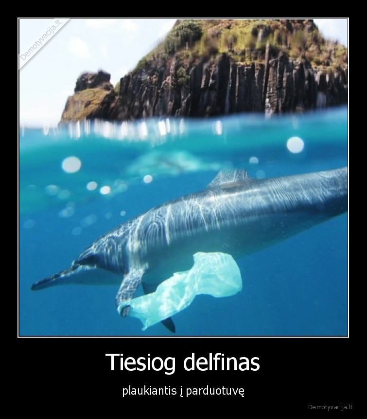delfinas,apsipirkti,maiselis