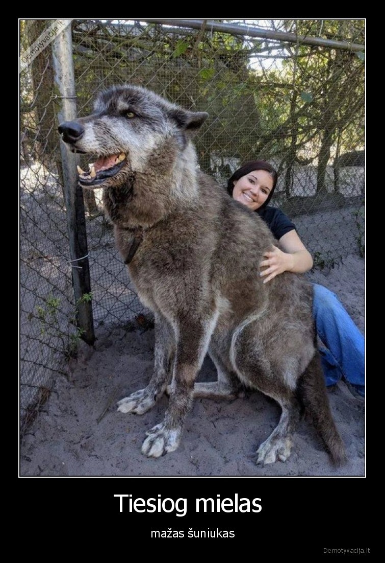 suo,milziniskas,wow,didelis