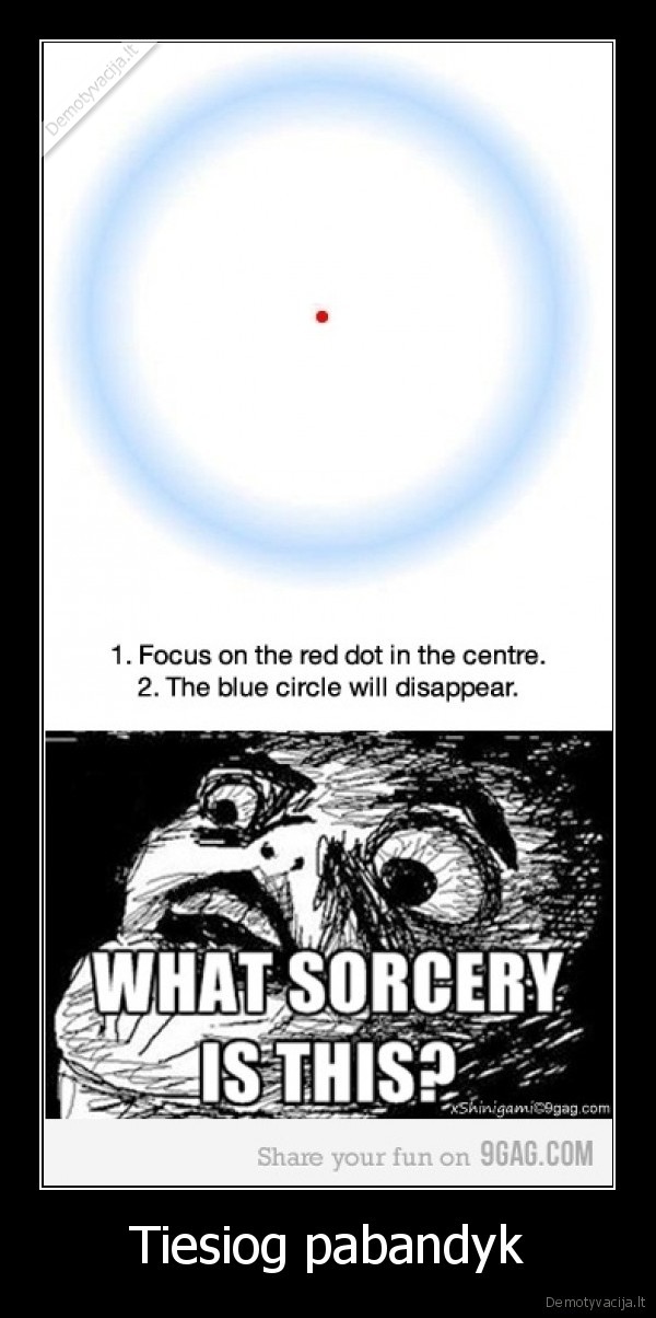 jei, kas, zino, kodel, taip, yra, parasykit, komentara