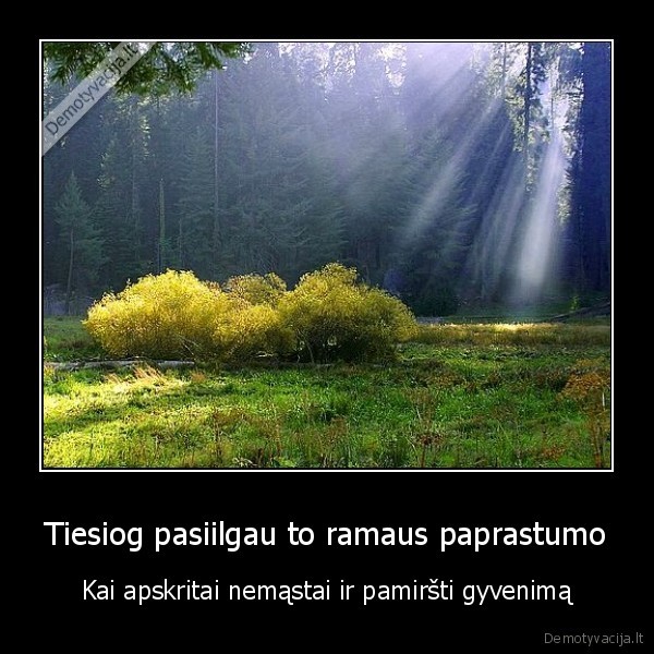 Tiesiog pasiilgau to ramaus paprastumo