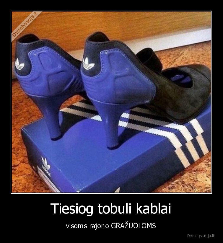 rajono,kablai,merginos,fyfos,marozai