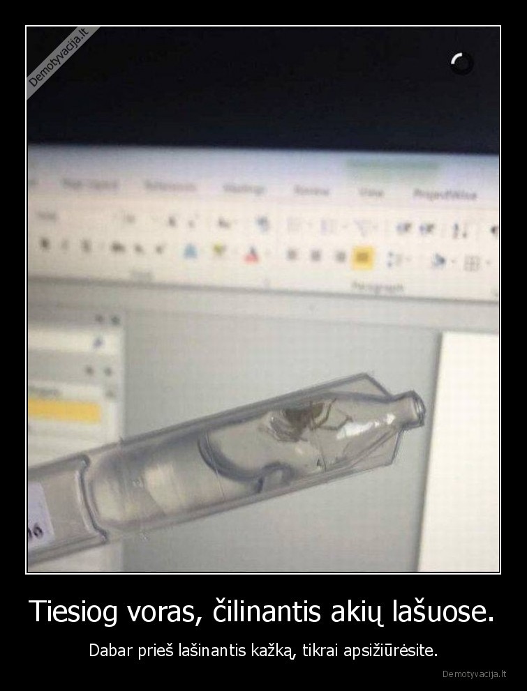 akiu, lasai,voras,wtf