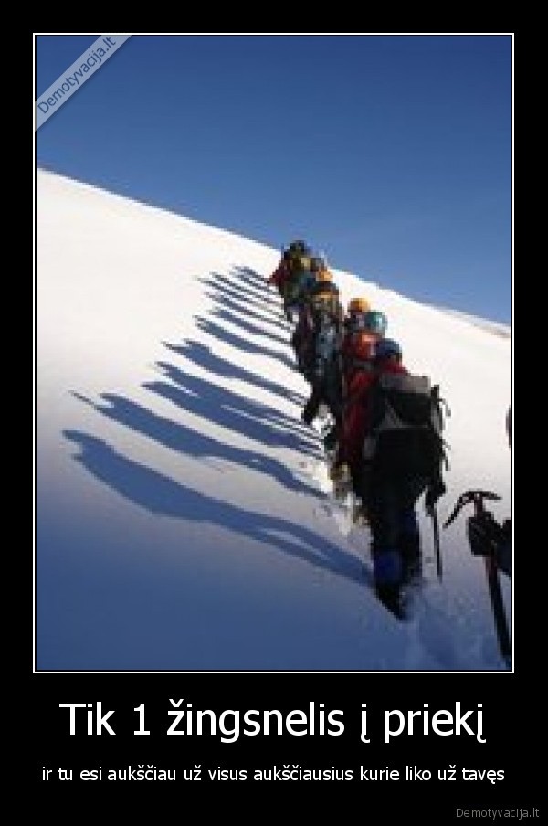 aukstis,zingsnis,karjera