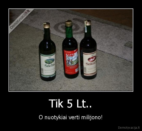vynas,alkoholikai,vyciokas,nebegersiu,party, saika