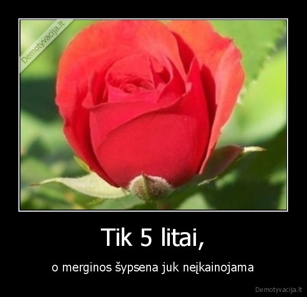 gele,mergina,sypsena,neikainojama