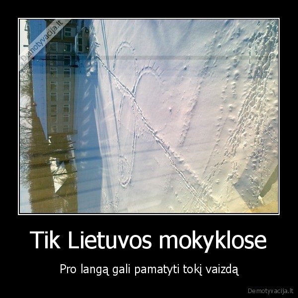 Tik Lietuvos mokyklose