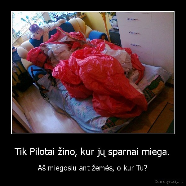 Tik Pilotai žino, kur jų sparnai miega.