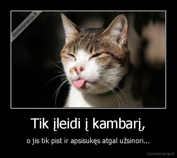 Tik įleidi į kambarį,