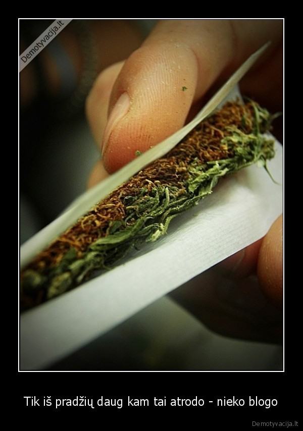 zole,kanapes,rukymas