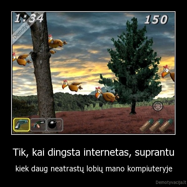 interneto, rysys,dingo, internetas