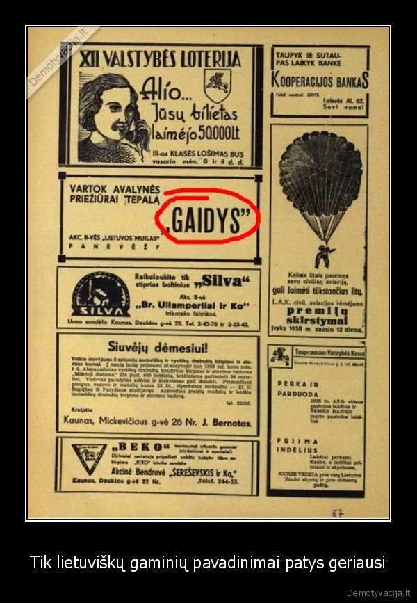 gaidys,reklama