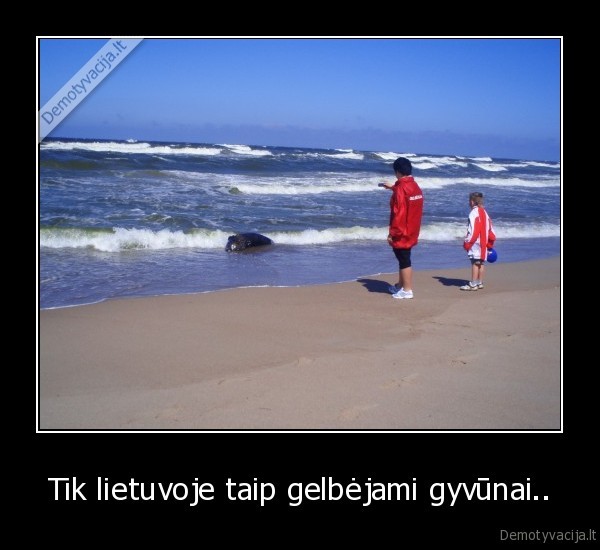 Tik lietuvoje taip gelbėjami gyvūnai..