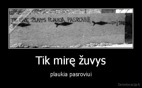 zuvys,mire,plaukia,upe