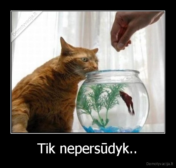 Tik nepersūdyk..