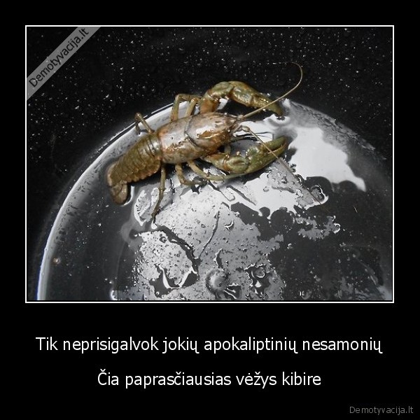 vezys, kibire,optine, apgaule