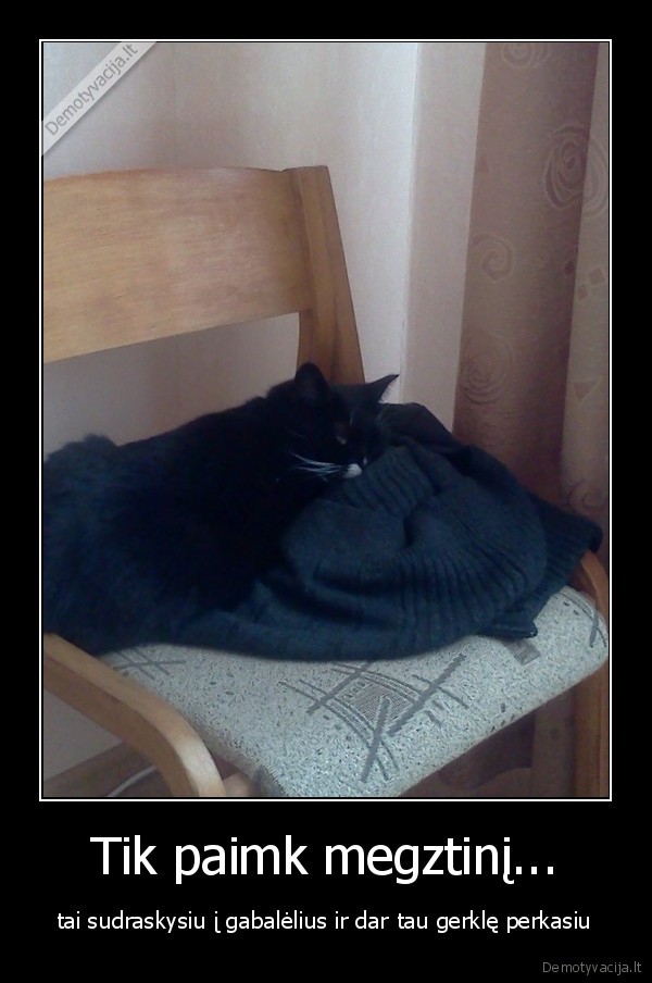 kate,kates,katinas,katinai,megztinis,megztukas,kede,miega,miegas