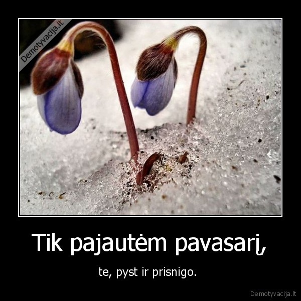 uzpiso, tas, sniegas