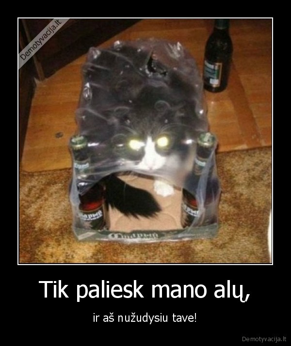 Tik paliesk mano alų,